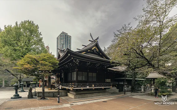 Wender Media - SEO Agentur Halle (Saale)