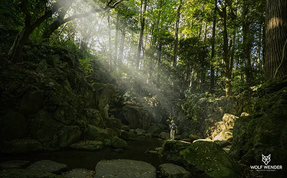 SEO Agentur Magdeburg - Suchmaschinenoptimierung in Ihrer Nähe
