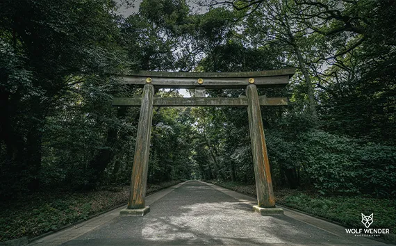 SEO Agentur Merseburg - Suchmaschinenoptimierung in Ihrer Nähe