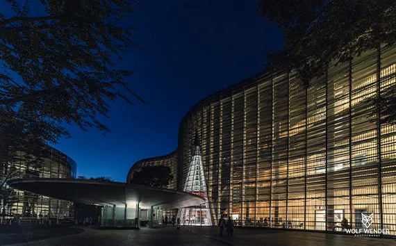 SEO Agentur Lutherstadt Wittenberg - Suchmaschinenoptimierung in Ihrer Nähe