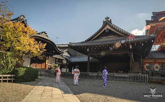 SEO Agentur Halberstadt - Suchmaschinenoptimierung in Ihrer Nähe