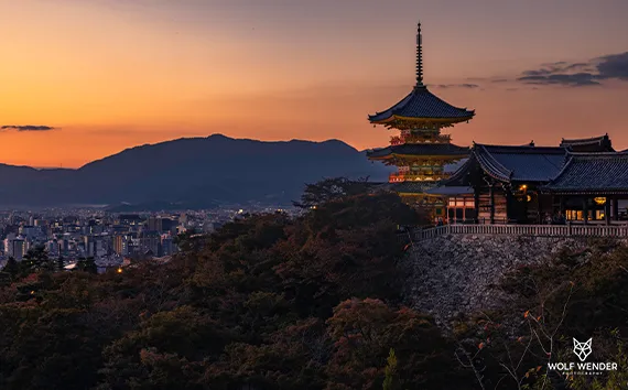 Halle (Saale) Skyline - SEO Agentur fuer das Sachsen-Anhalt