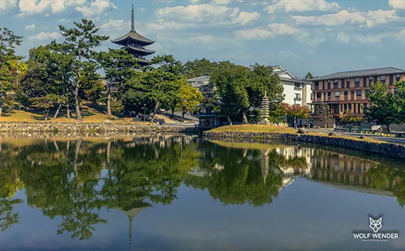 Content-Optimierung - SEO-optimierte Inhalte fuer bessere Rankings