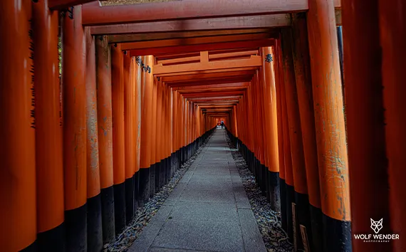 Pagespeed Optimierung - Schnellere Ladezeiten fuer bessere Rankings