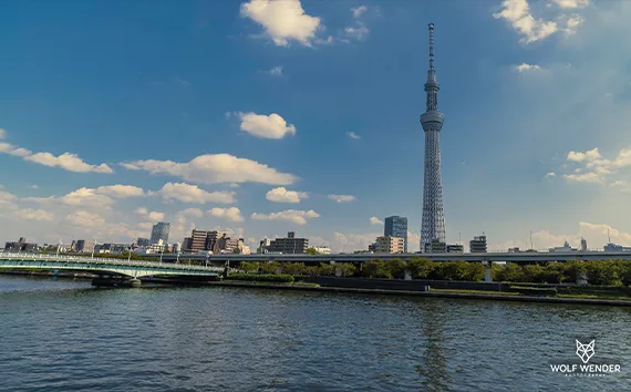 FAQ - Häufig gestellte Fragen zu SEO in Halle